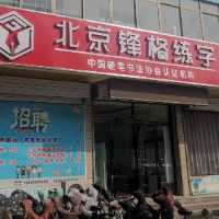 东平明星托管