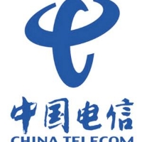 中国电信股份有限公司东平分公司