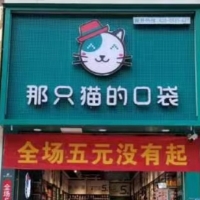那只猫的口袋