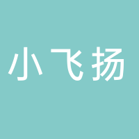 小飞扬舞蹈艺术团