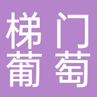 东平梯门大棚葡萄园