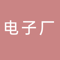 东平电子厂
