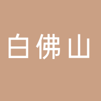 东平白佛山驾驶员培训有限责任公司