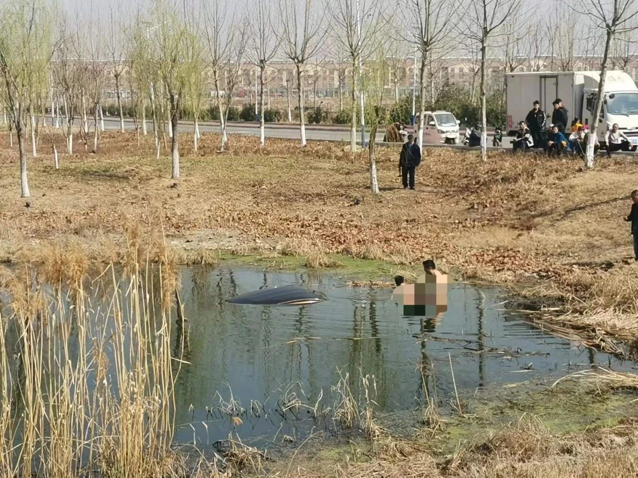 快看：东平滨河